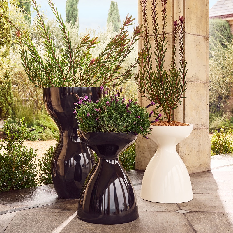 CB2-KSA-ENG-HP-2Oct26-Planters-Block.jpg